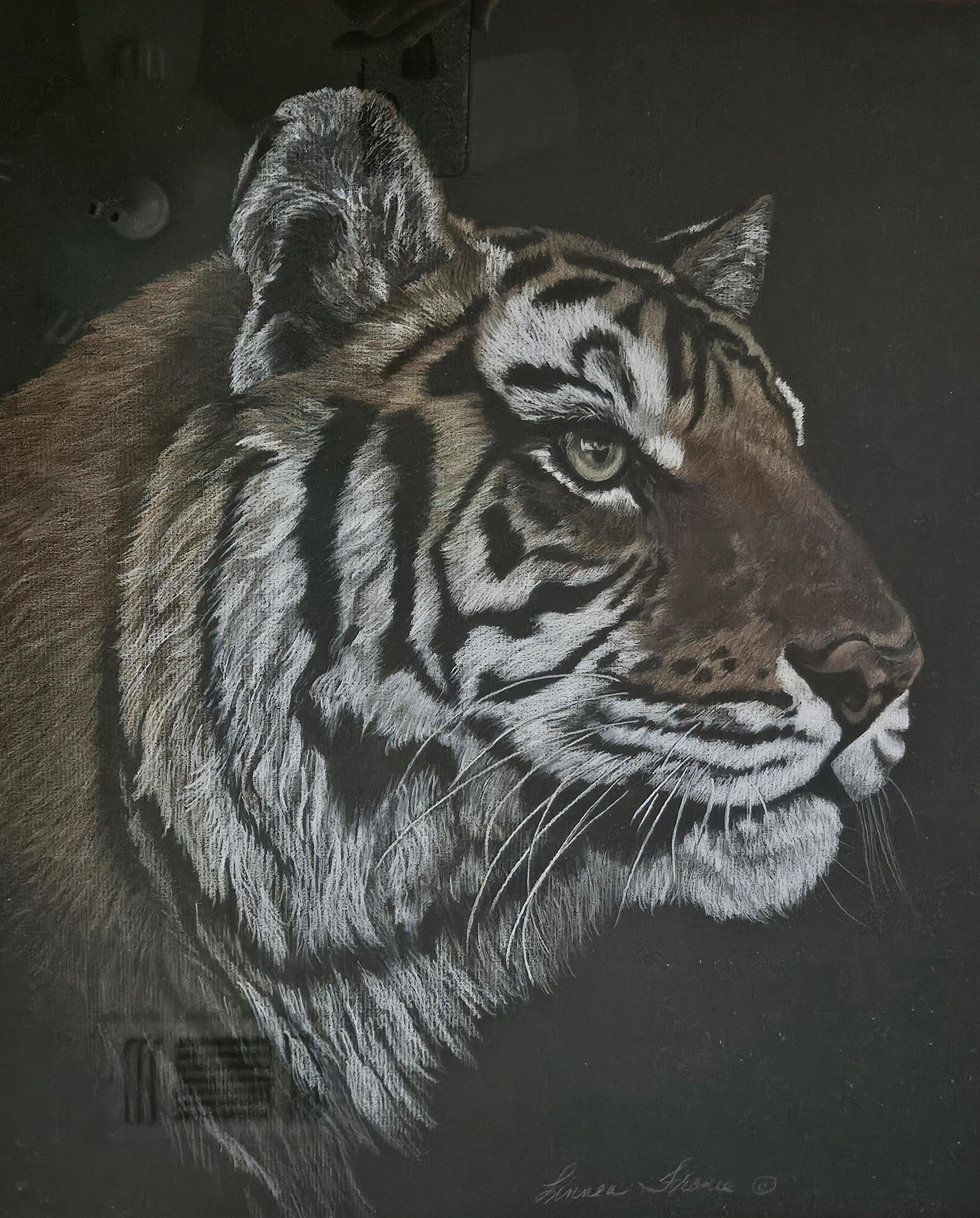 Sumatran Tiger painting by Sacramento artist Linea Fronce